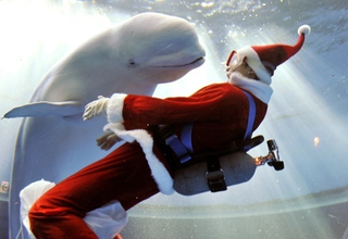 Illustration for article titled You Better Watch Out: Santa Claus Might Already Be In Your Town